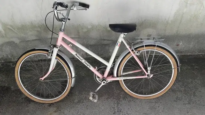 Vélo Bernard Dangre- Que Savez-vous De Cette Marque De Vélo À Prix Moyen ? 24 vélo bernard dangre