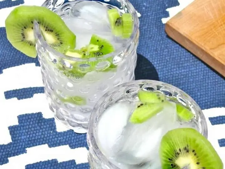 Meilleur Diluant Vodka- Art De Profiter De La Vodka 30 meilleur diluant vodka