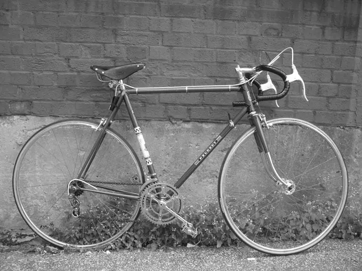 Peugeot Pr10: Pourquoi devrait-on le choisir ? 8 peugeot pr10