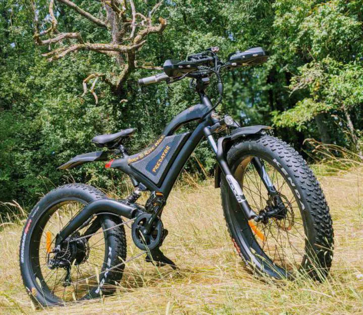 meilleur fat bike electrique