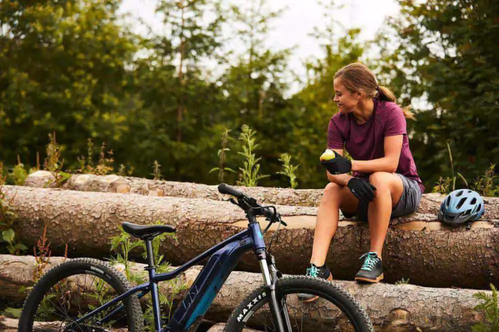 meilleur fat bike electrique